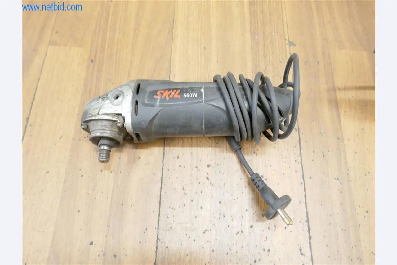 BGA y parque móvil-2