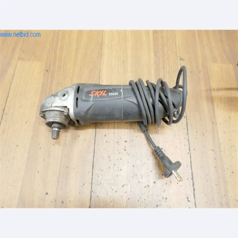 BGA y parque móvil-2