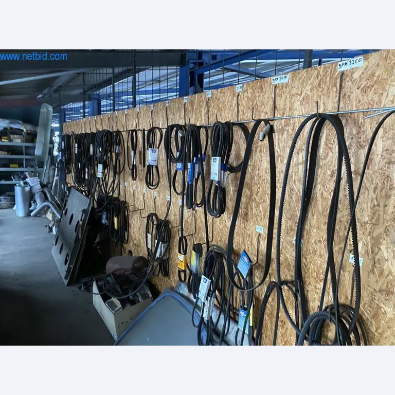 BGA y parque móvil-1