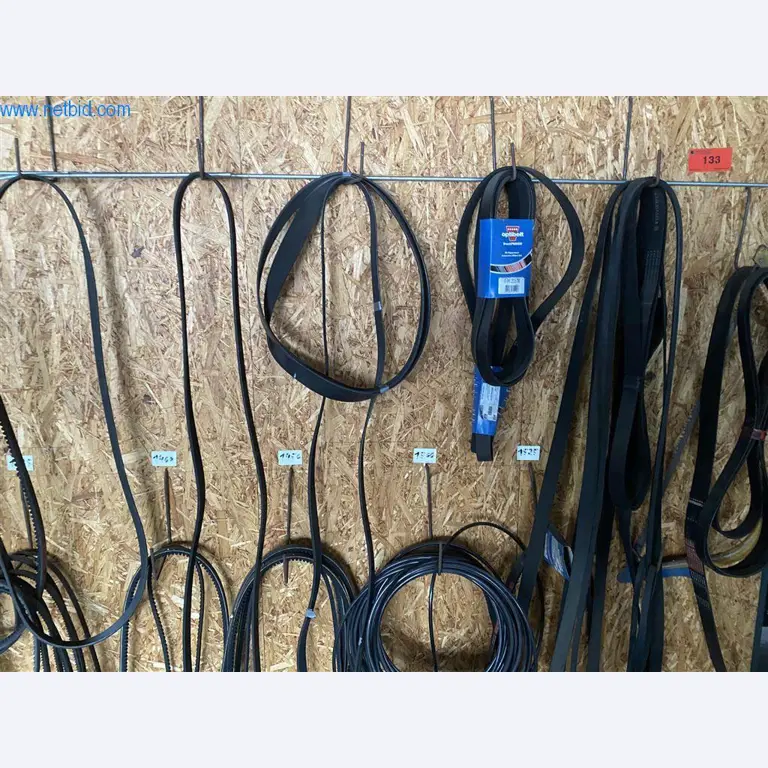 BGA y parque móvil-2