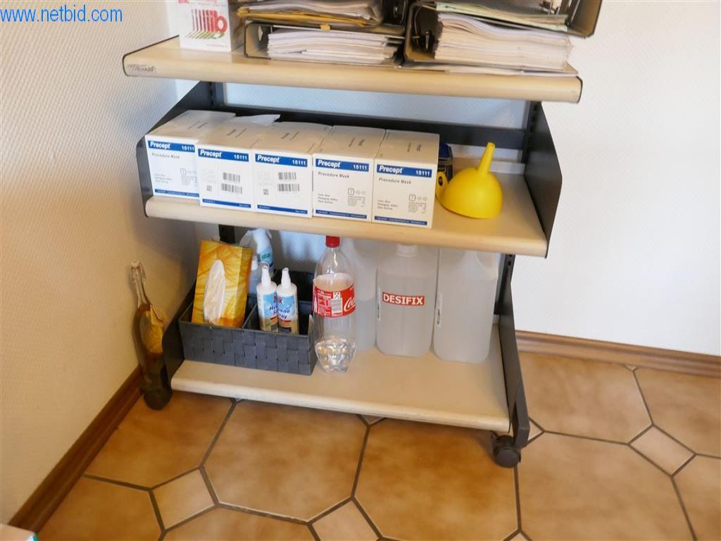 BGA y parque móvil-2