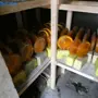 thumbnail-Maschinen aus dem Bereich Hoch- und Tiefbau-6