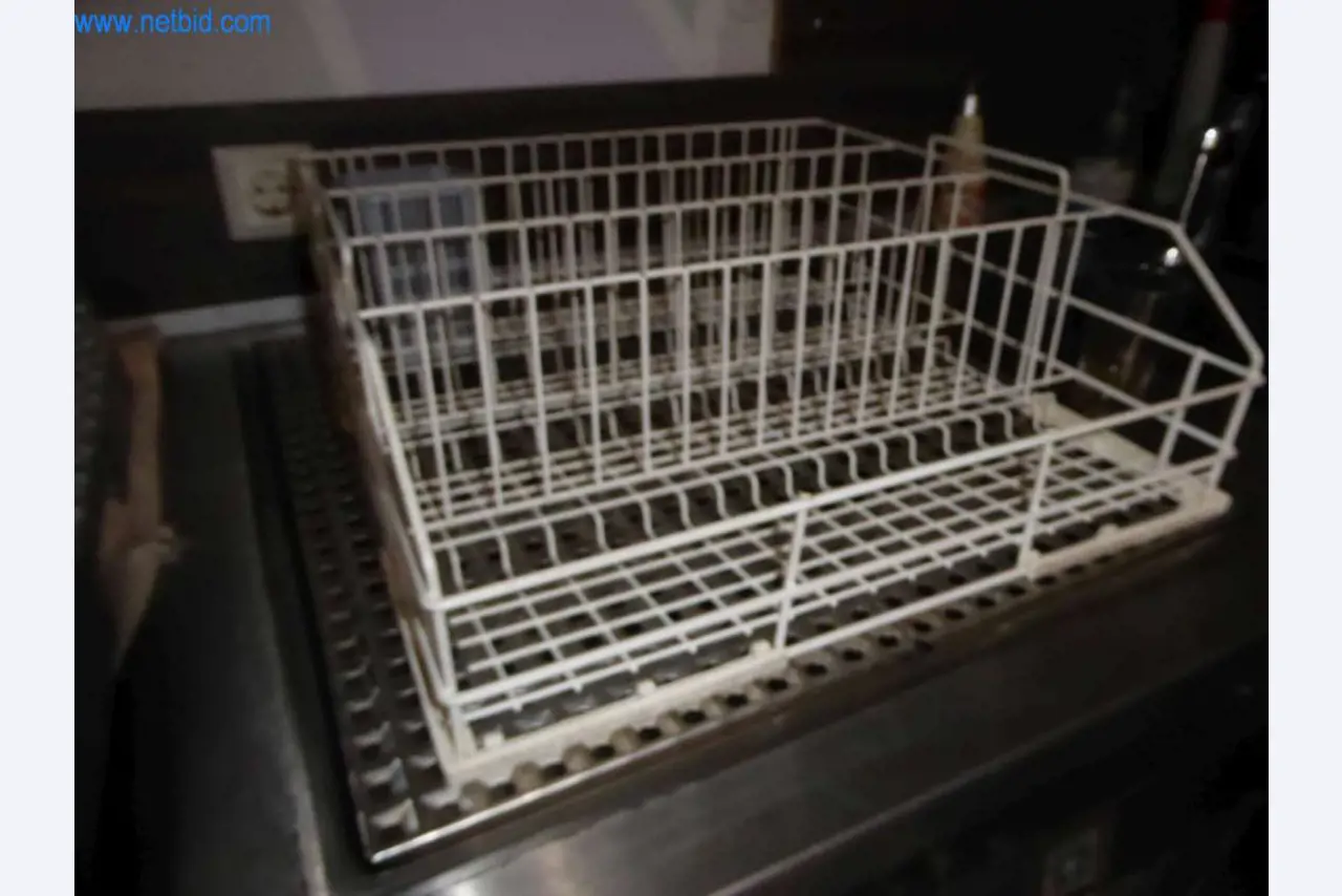 Equipo de restauración del Bischdro Goschehobel-5