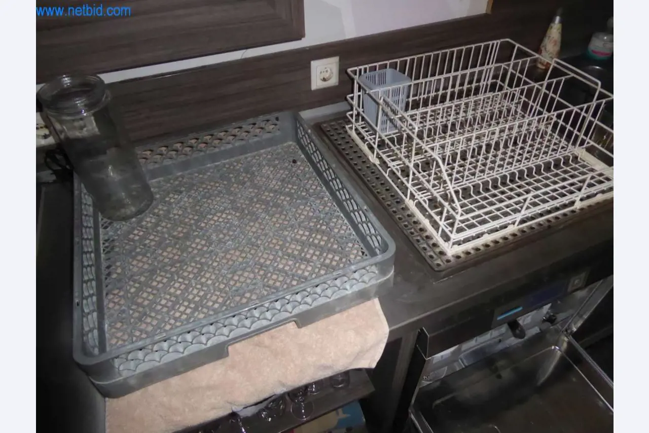 Equipo de restauración del Bischdro Goschehobel-6