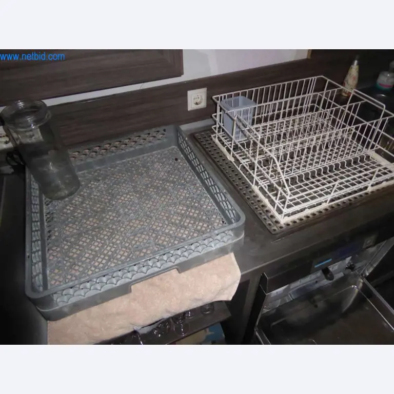 Equipo de restauración del Bischdro Goschehobel-6