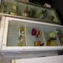thumbnail-Horeca-uitrusting van de Bischdro Goschehobel-9