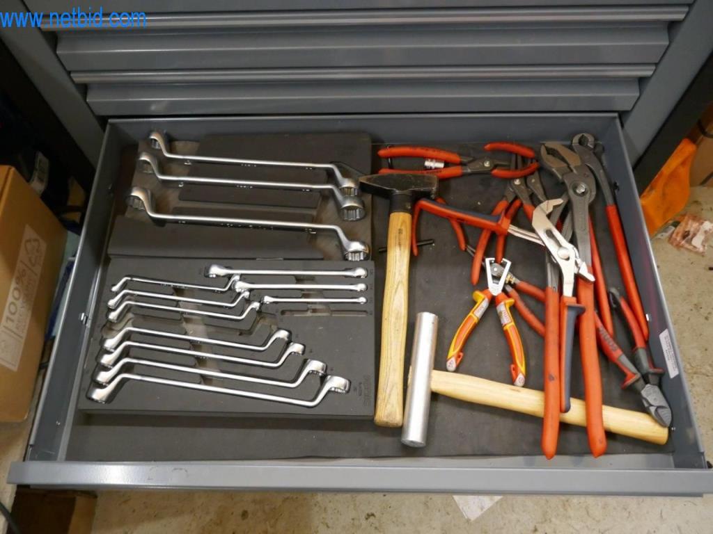 Stihl tool trade with new machines, horticulture, forestry technology-6