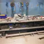 thumbnail-Machinery, operating and office equipment, inventories, assembly materials and vehicles (steel construction sector)-3