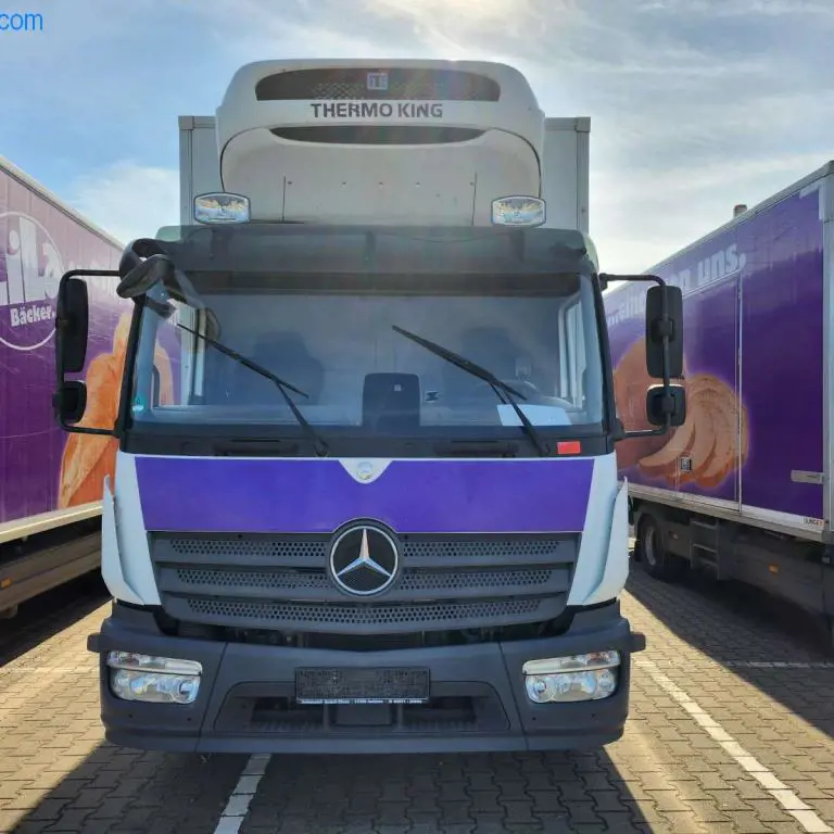 Vrachtwagen/koelbox (vriezer) Mercedes-Benz Atego 967PKX3 (15 t)