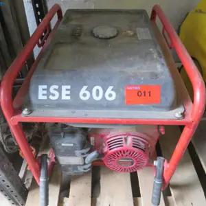 Power generator Endress ESE606DHG-GT Duplex