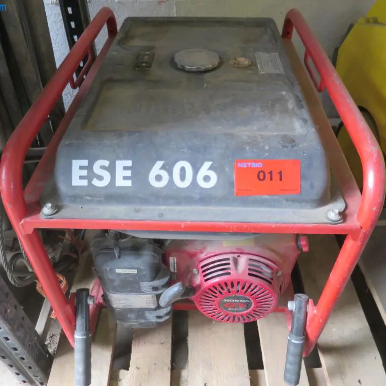 Generador de energía Endress ESE606DHG-GT Duplex