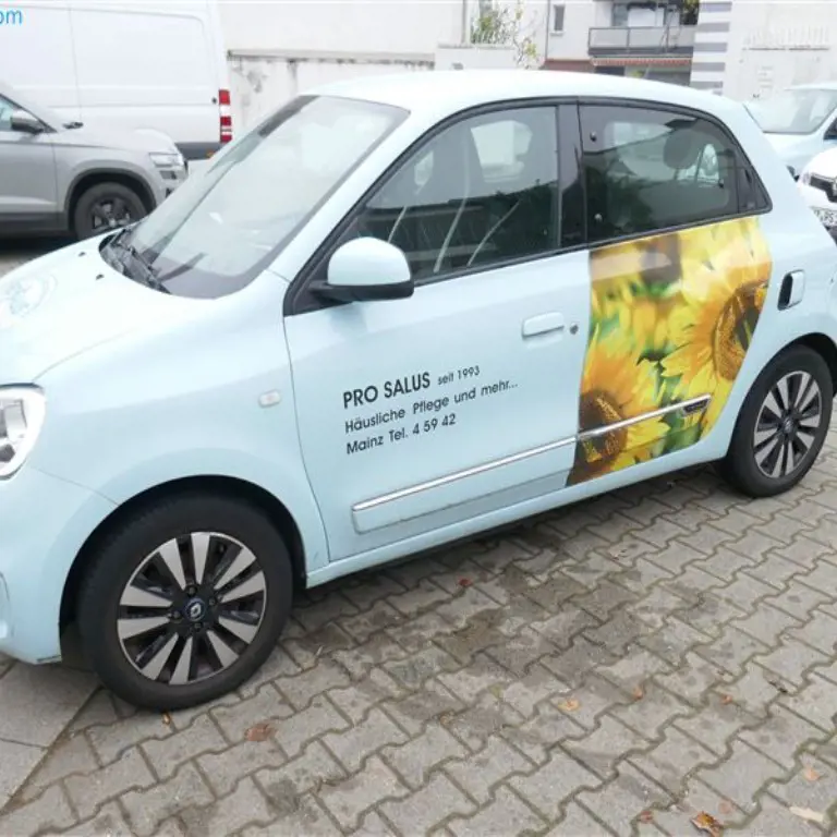 Voiture Renault Twingo Electric Zen