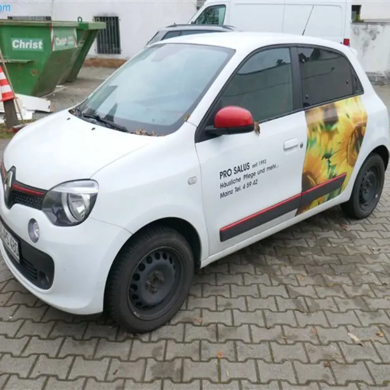 Voiture Renault Twingo 1.0 Sce 70 Chic