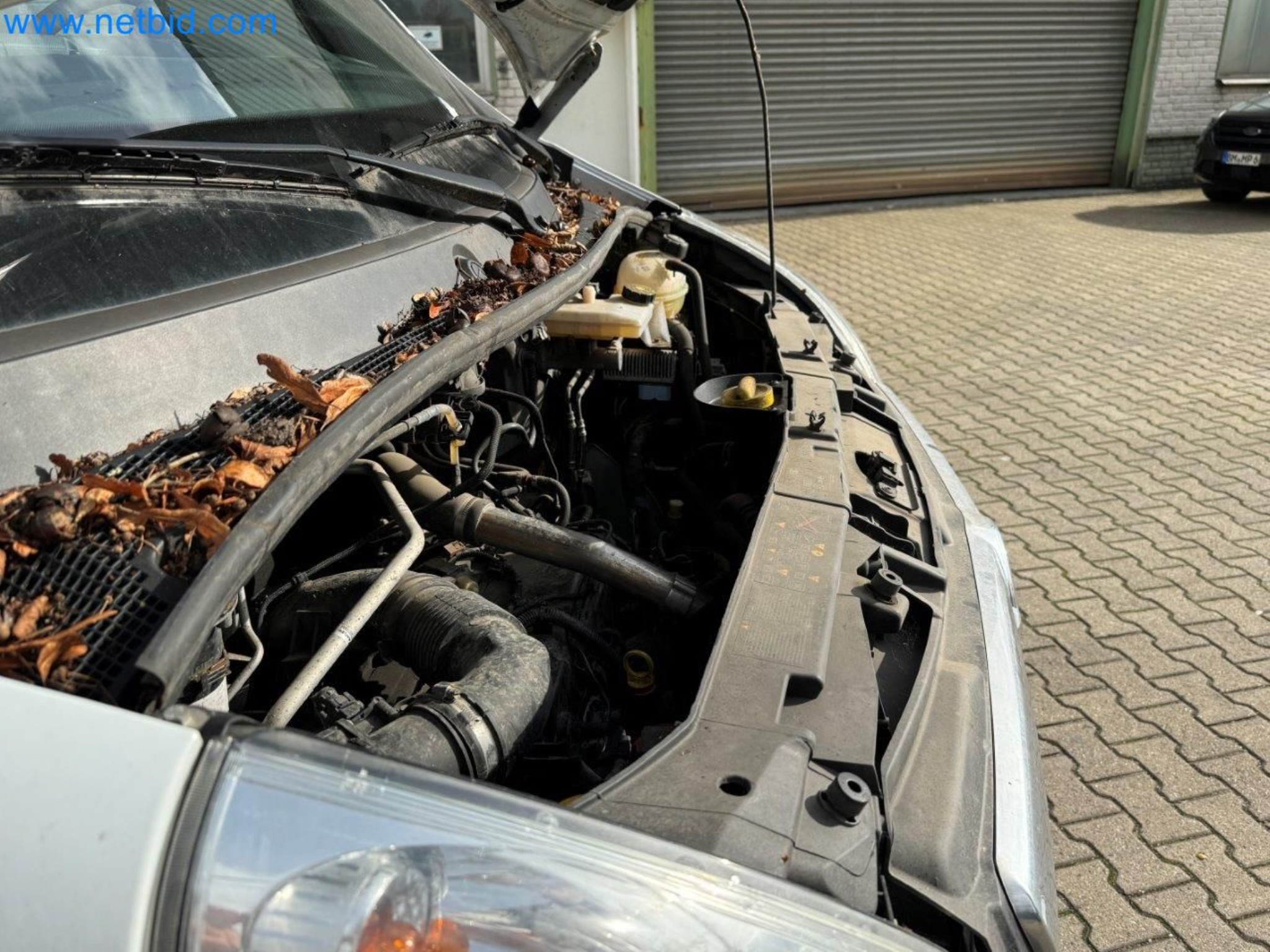 Online prodej společnosti Bora-Bau GmbH-15