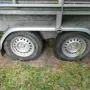 thumbnail-null-15