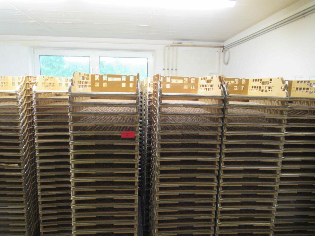 Bäckereiproduktionsmaschinen- und Ausstattung einer Bäckerei-1