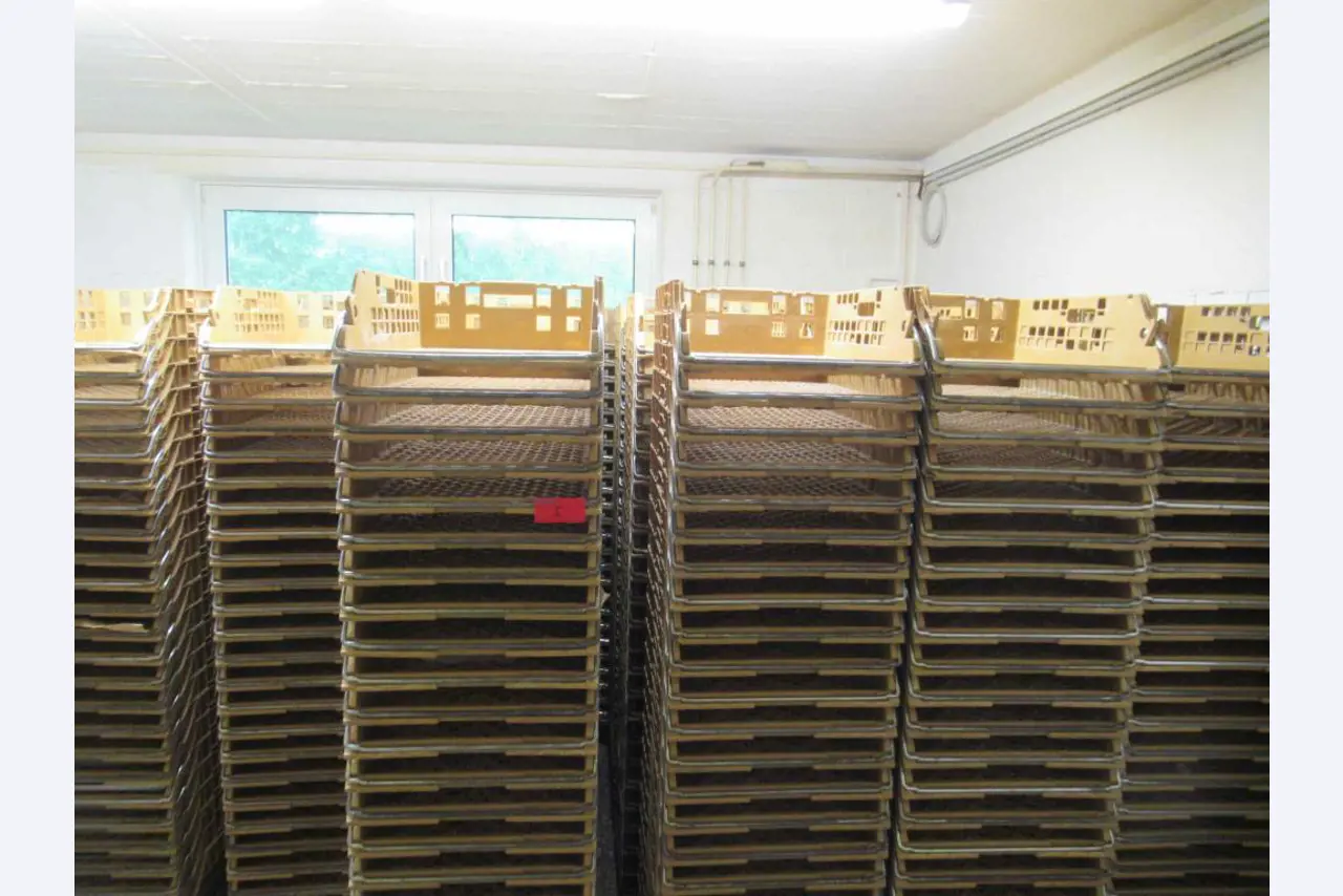 Máquinas e equipamentos de produção de panificação para uma padaria-1