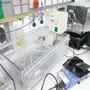 thumbnail-Gepflegte und umfangreiche Laborausstattung -3