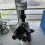 thumbnail-Dobře udržované a rozsáhlé laboratorní vybavení-2