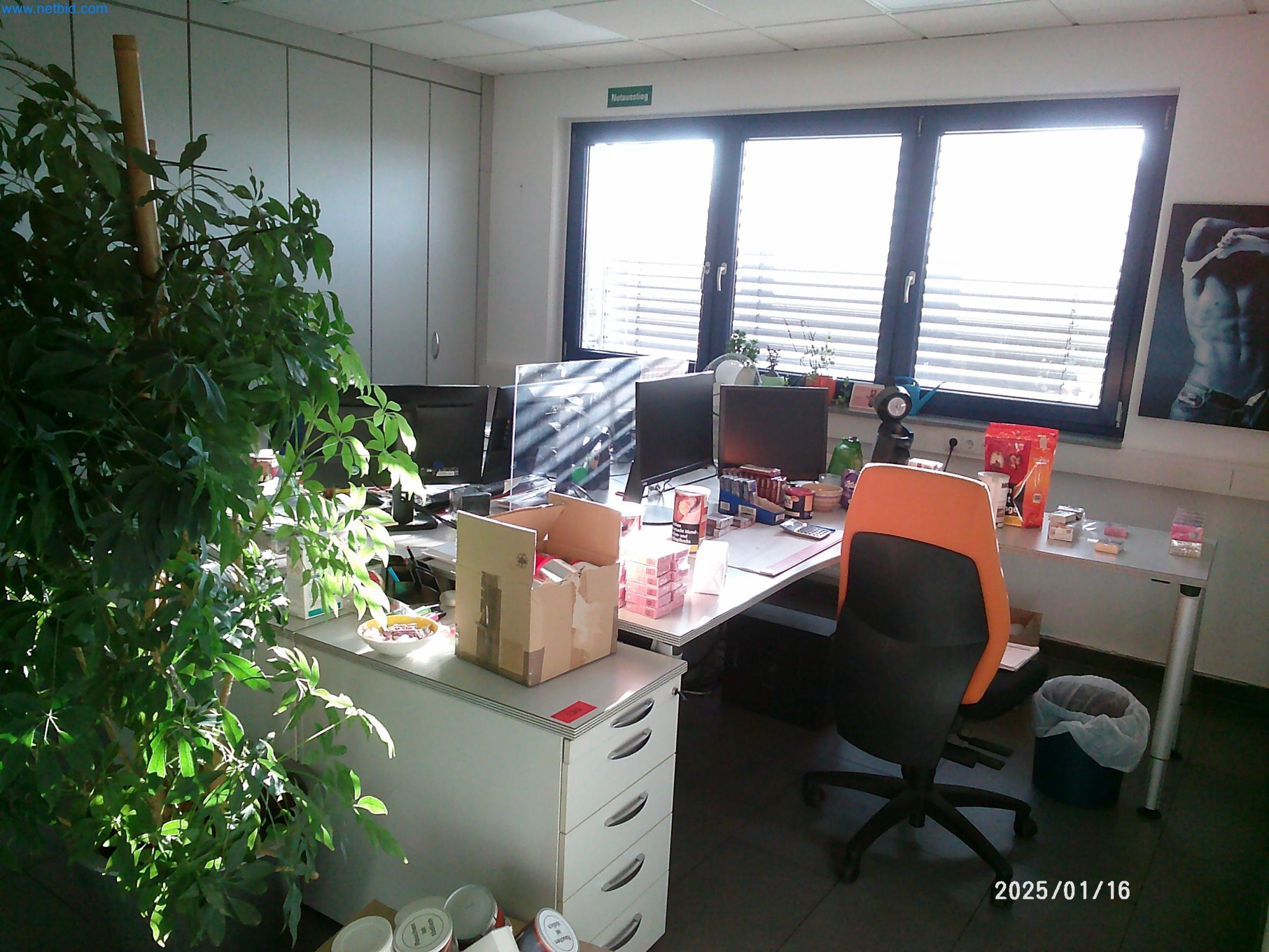 Machines for the production of cigarettes-1