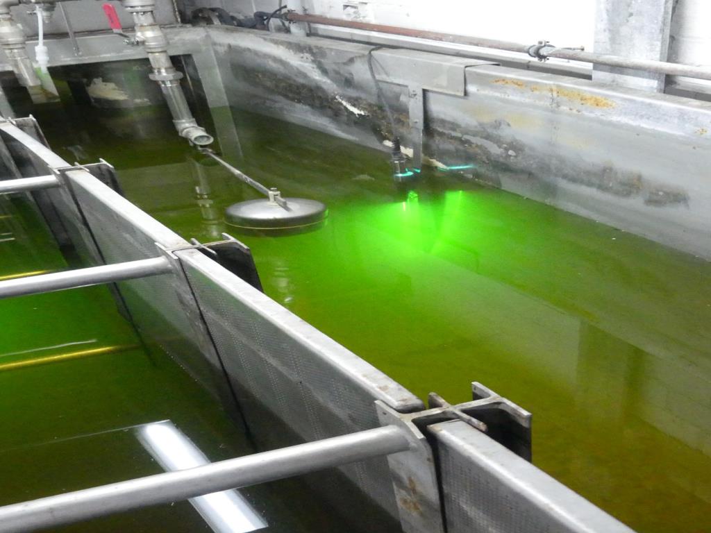 Maquinaria y accesorios de una antigua imprenta de huecograbado-13