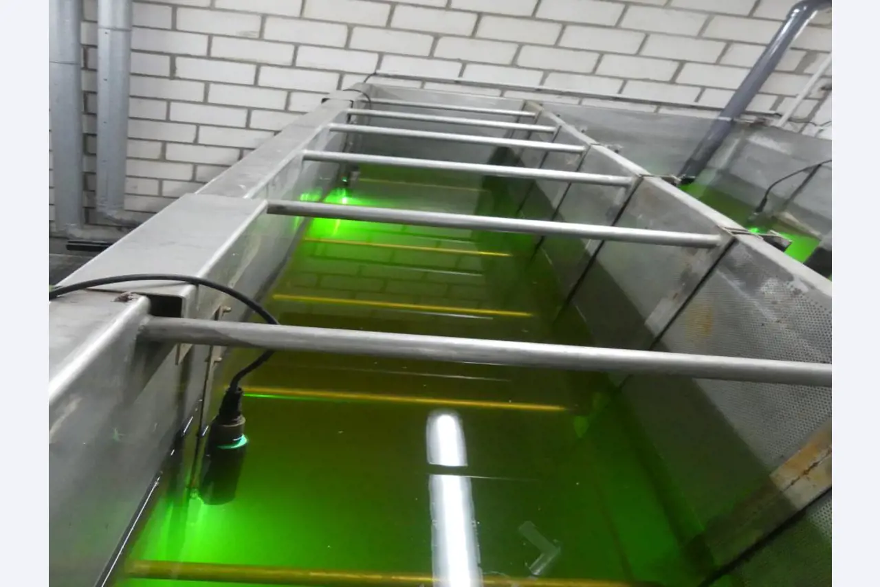 Equipement mécanique et accessoires d'une ancienne imprimerie en héliogravure-17