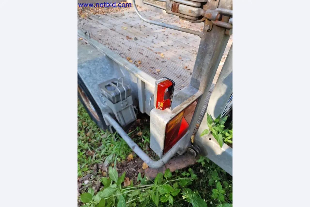 Activos fijos y circulantes del segmento de jardinería y paisajismo-4