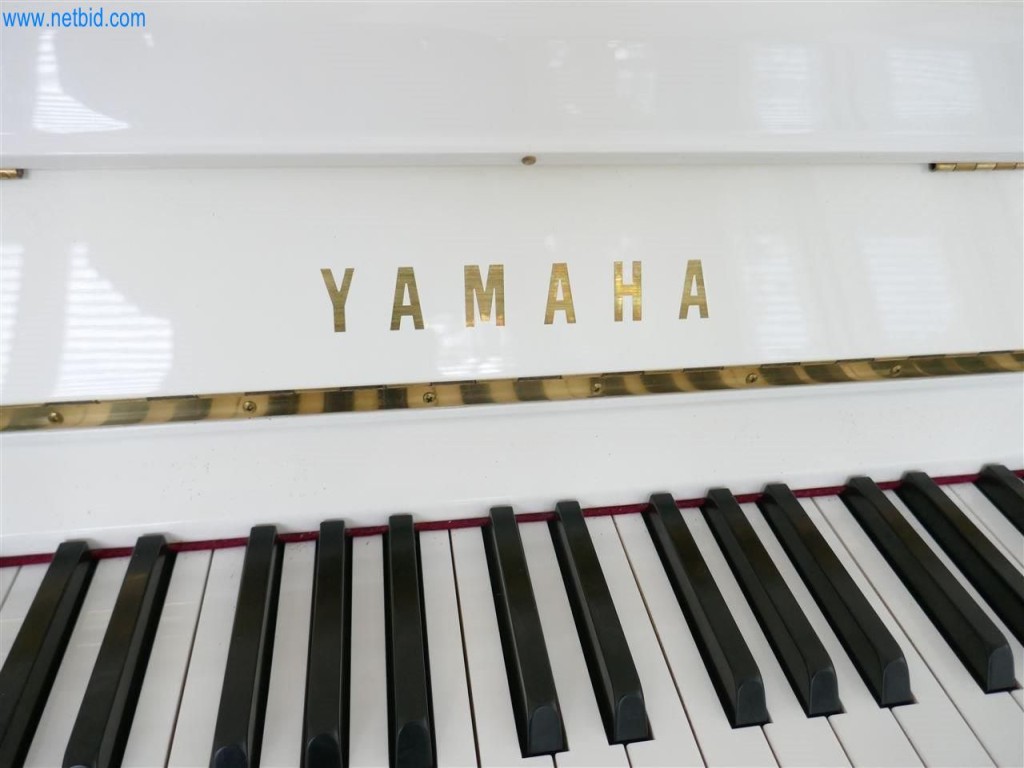 Equipamento clínico bem conservado-3