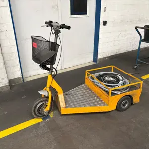 Electric Cargo Tricycle Erler Mobile GmbH Colly 2