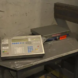 Pallet Scale Rewa 84