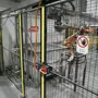 thumbnail-ae group - Melting store, Aluminum die casting machines 6,600 - 35,000 kN, Mechanical processing - PRIVATE TREATY SALE-8