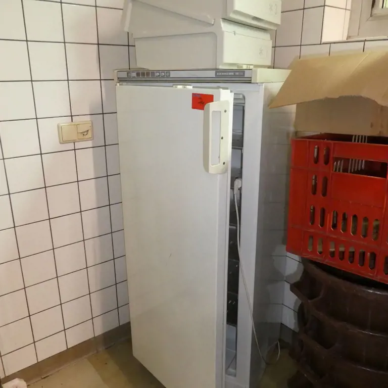 Freezer Liebherr