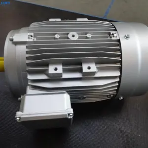 Drei Phasen Inductionsmotor Chiaravalli MEP100LB4 B14 IE 3