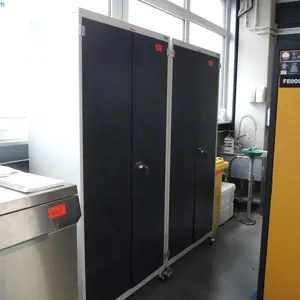 2 Armoires en tôle Garant