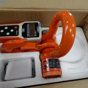 Kranwaage Gram C6-5T