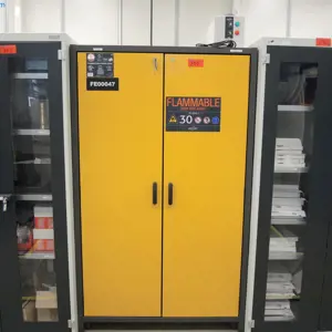 Bezpečnostní skříň (FE00047) Asecos 30 EN 14470-3