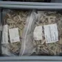 thumbnail-LILIUM eAircraft GmbH / LILIUM GmbH; technische Anlagen, Avionik-Warenbestände, Ersatzteile und Betriebsausstattungen zur Herstellung von eVTOL-3