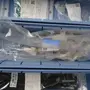 thumbnail-LILIUM eAircraft GmbH / LILIUM GmbH; technische Anlagen, Avionik-Warenbestände, Ersatzteile und Betriebsausstattungen zur Herstellung von eVTOL-36