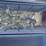 thumbnail-LILIUM eAircraft GmbH / LILIUM GmbH; technische Anlagen, Avionik-Warenbestände, Ersatzteile und Betriebsausstattungen zur Herstellung von eVTOL-20