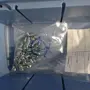 thumbnail-LILIUM eAircraft GmbH / LILIUM GmbH; technische Anlagen, Avionik-Warenbestände, Ersatzteile und Betriebsausstattungen zur Herstellung von eVTOL-12
