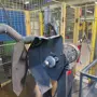thumbnail-Machines from the surface technology sector-12