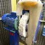thumbnail-Maschinen aus dem Bereich Oberflächentechnik-2