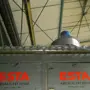 thumbnail-Maschinen aus dem Bereich Oberflächentechnik-9
