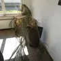 thumbnail-Apparaten- en tankbouw, metaalbouw, slotenmakerij, pijpleidingbouw, assemblage-2