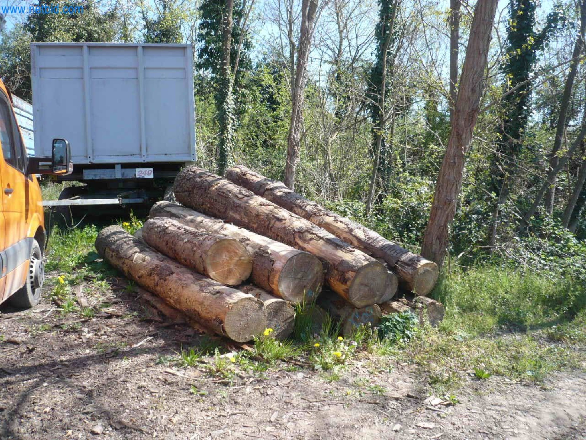 Obróbka drewna, technologia piłowania i ciesielstwa, produkcja drewna opałowego-1