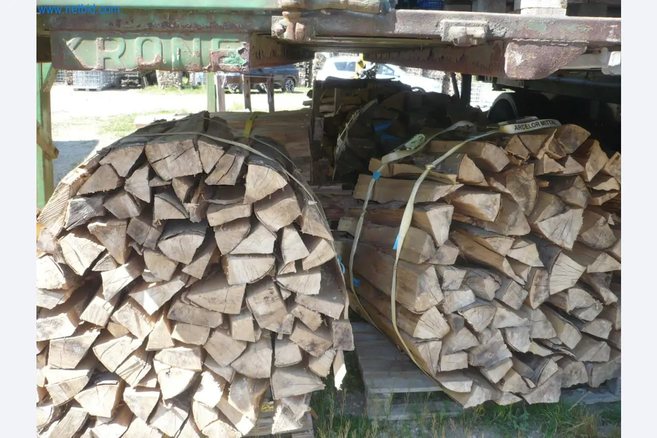 Zpracování dřeva, pilařská a tesařská technika, výroba palivového dřeva-1