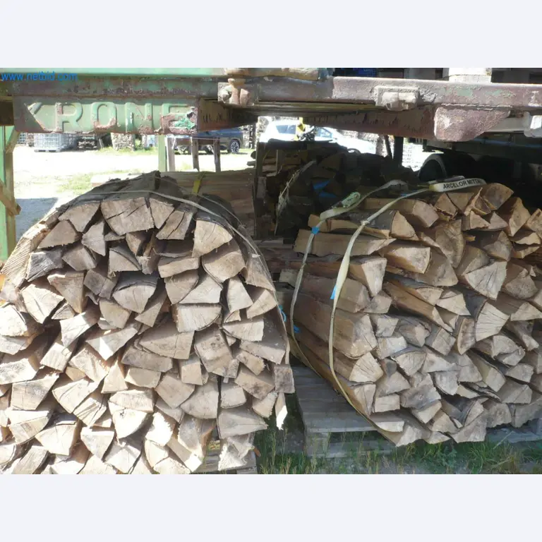 Zpracování dřeva, pilařská a tesařská technika, výroba palivového dřeva-1