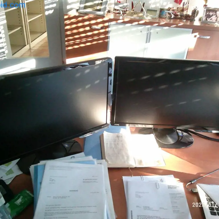 2 Monitory 24"