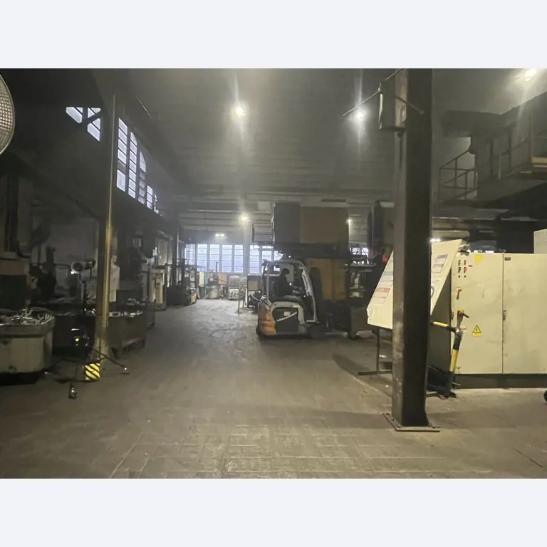 Total assets of Mariborska Livarna Maribor d.d. (MLM) - the oldest foundry in Slovenia-45