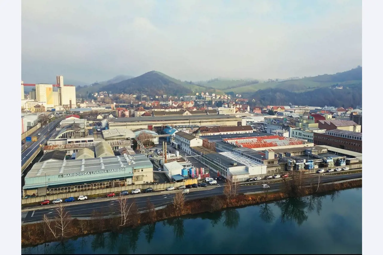 Total assets of Mariborska Livarna Maribor d.d. (MLM) - the oldest foundry in Slovenia-46